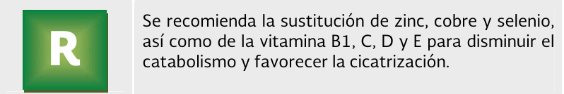 6. Terapia nutricional 4 - GPC-IMSS-375-17